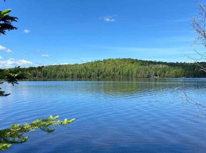 Les Immeubles GLMC Terrain vacant 157 Rue des Cèdres, SaintMarcdu