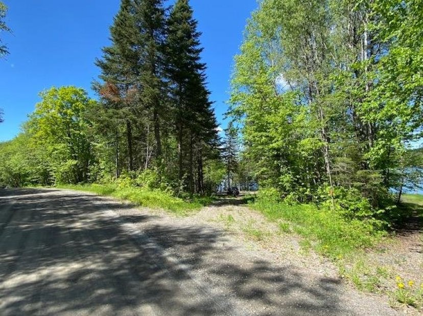 Les Immeubles GLMC Terrain vacant 157 Rue des Cèdres, SaintMarcdu